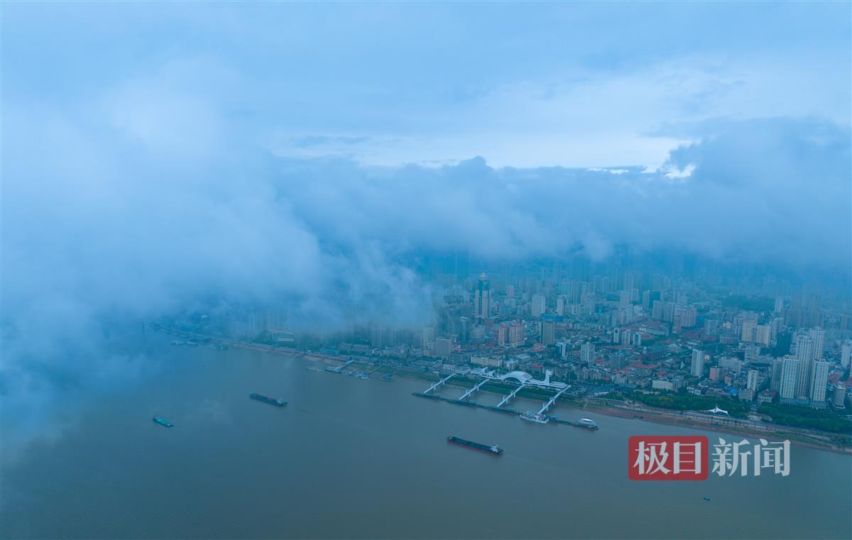 太阳城古天乐